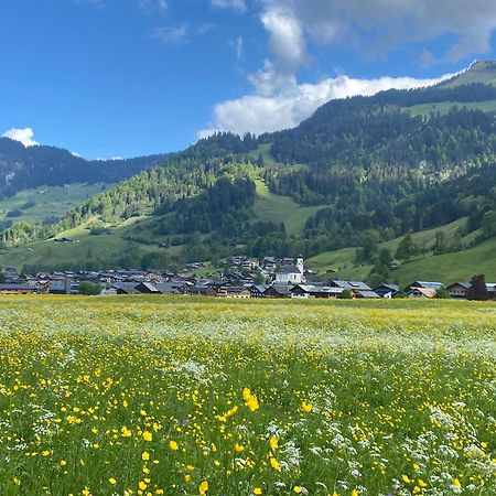 Haus Diedams Schoppernau Eksteriør bilde
