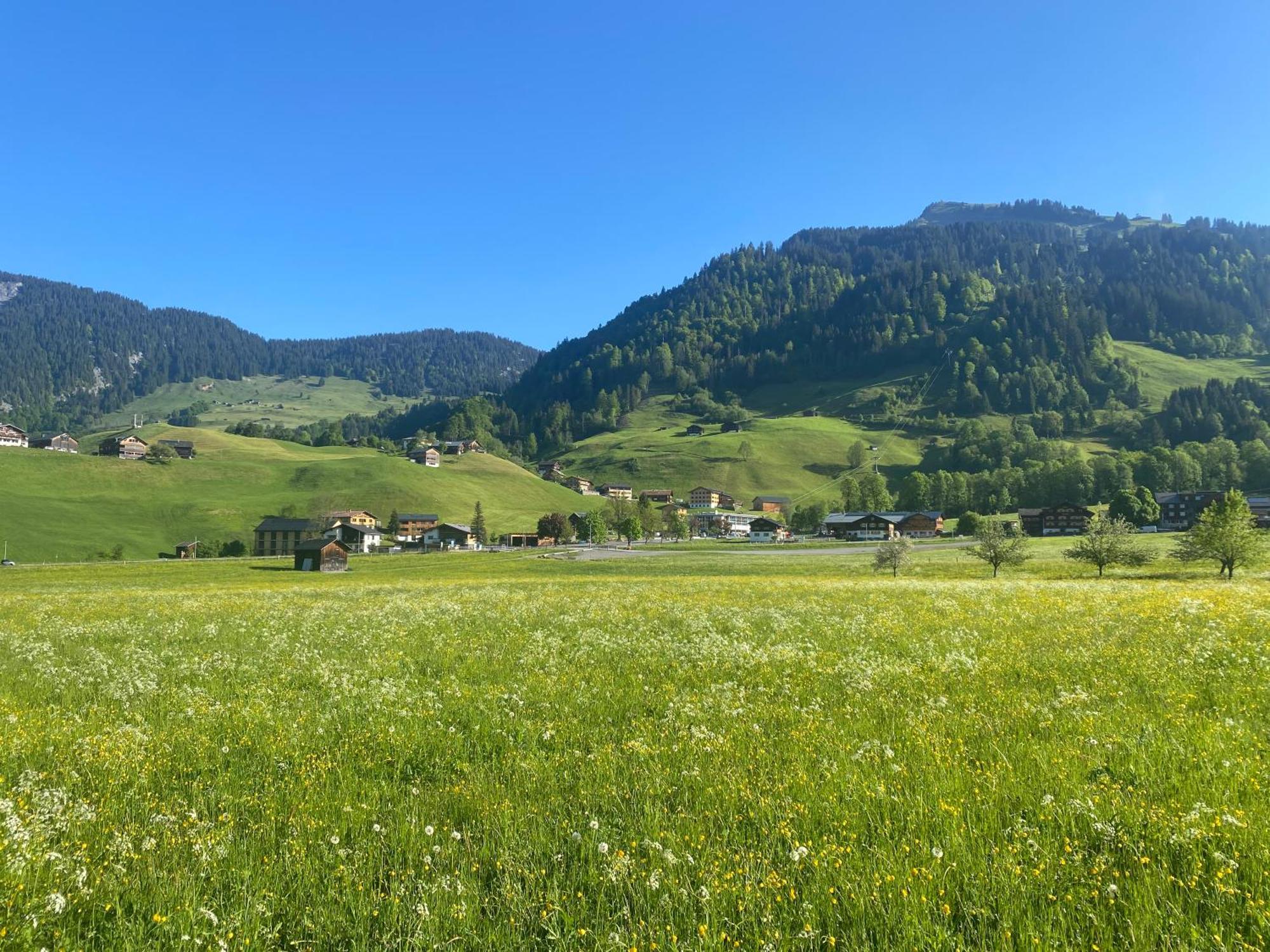 Haus Diedams Schoppernau Eksteriør bilde